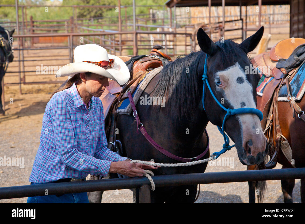 Cowgirl mit Pferd Stockfoto