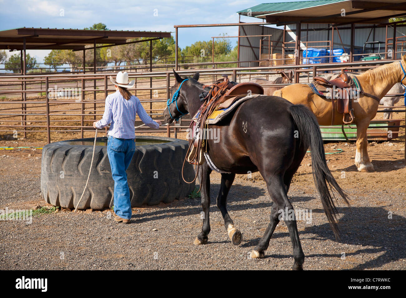 Kuh-Mädchen mit Pferd Stockfoto