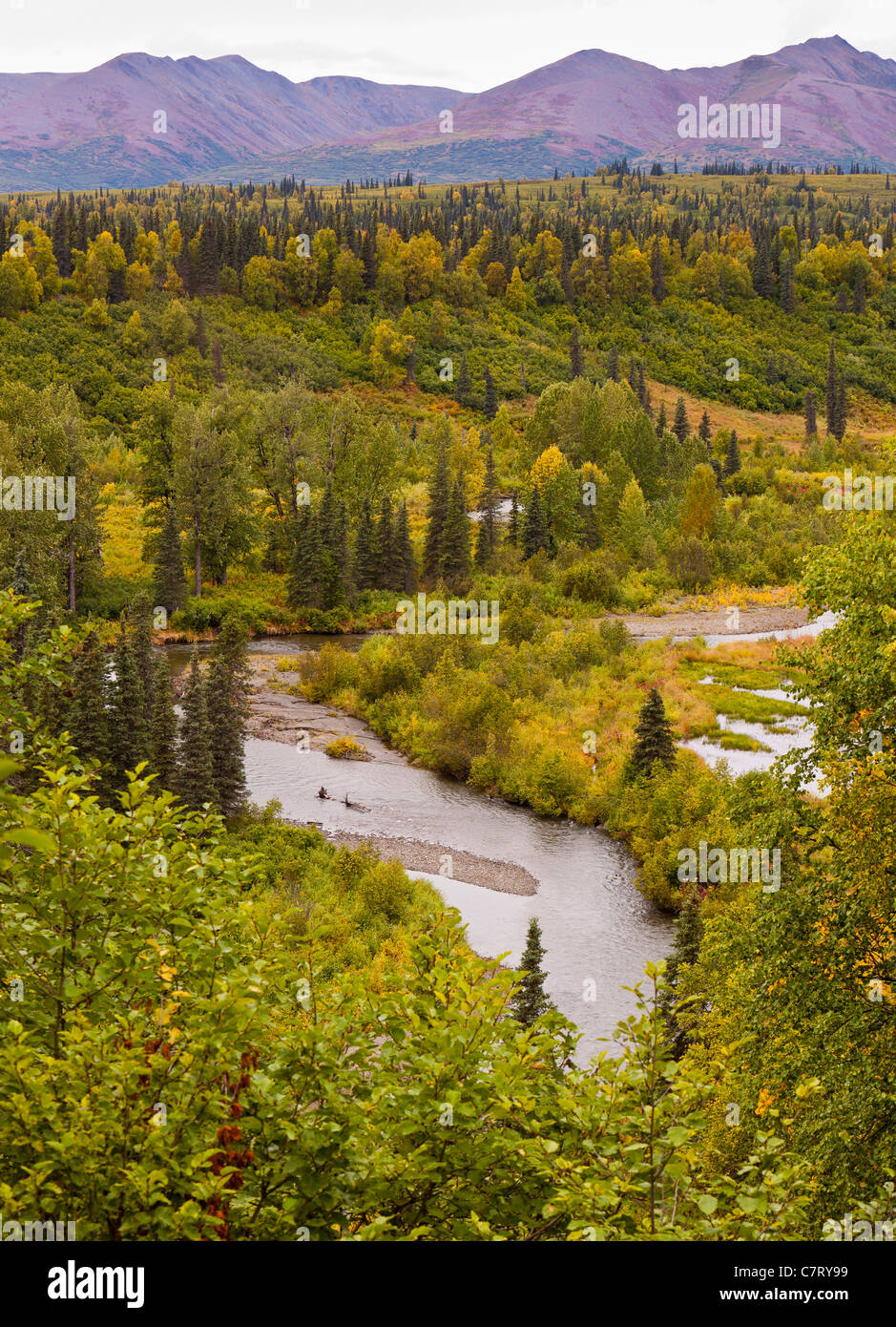 ALASKA, USA - Fluss und die Landschaft in der Nähe von Petersville Road und Dutch Hills. Stockfoto