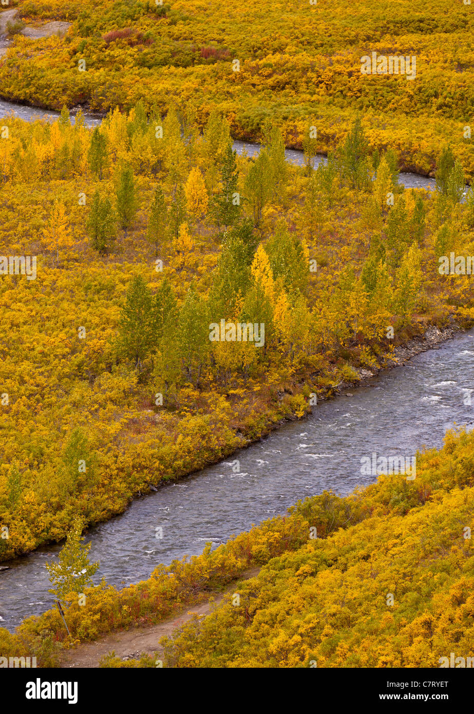 ALASKA, USA - Flusslandschaft in der Nähe von Petersville Road, Dutch Hills Bereich. Stockfoto