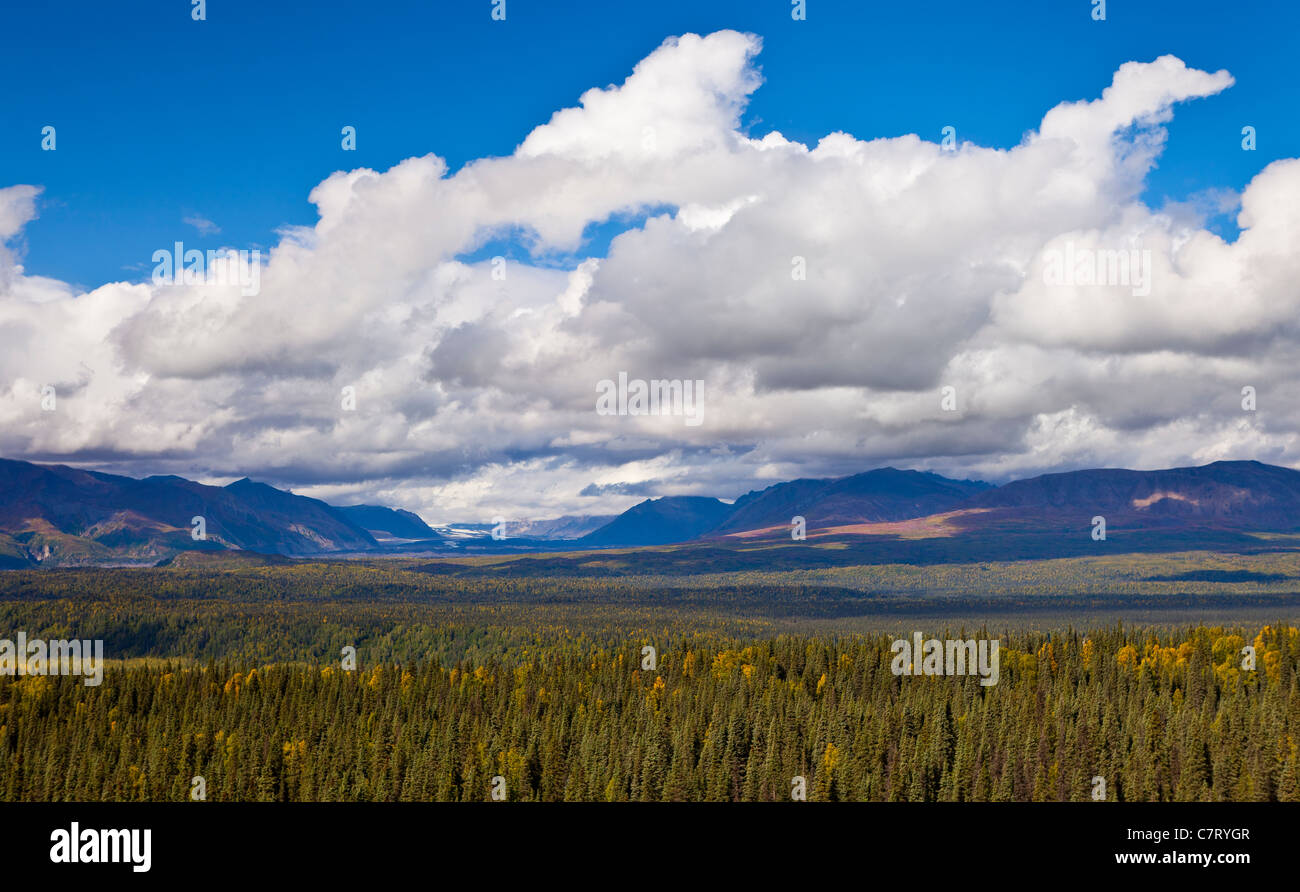 DENALI STATE PARK, ALASKA, USA - Chulitna Flusstal und Wald und Wolken. Stockfoto