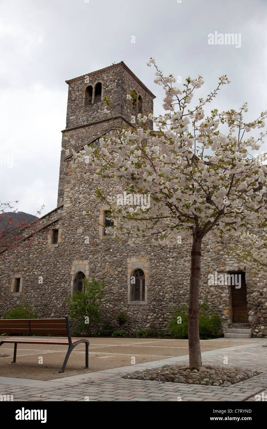 Eine Kirche mit Blossom Baum in Quillan, in der Nähe von Limoux S Aude, Frankreich Stockfoto
