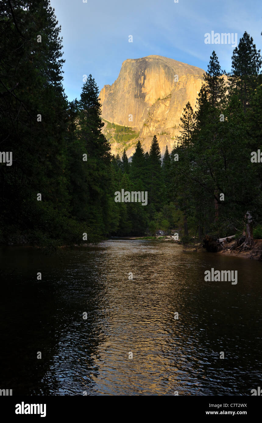 Der Half Dome spiegelt sich in Merced River. Yosemite Nationalpark, Kalifornien, USA. Stockfoto