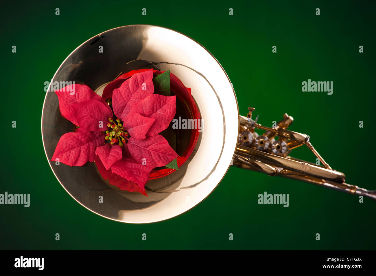Ein Goldmessing Waldhorn und roten Weihnachtsstern Blume vor dem Rampenlicht grünen Hintergrund isoliert. Stockfoto