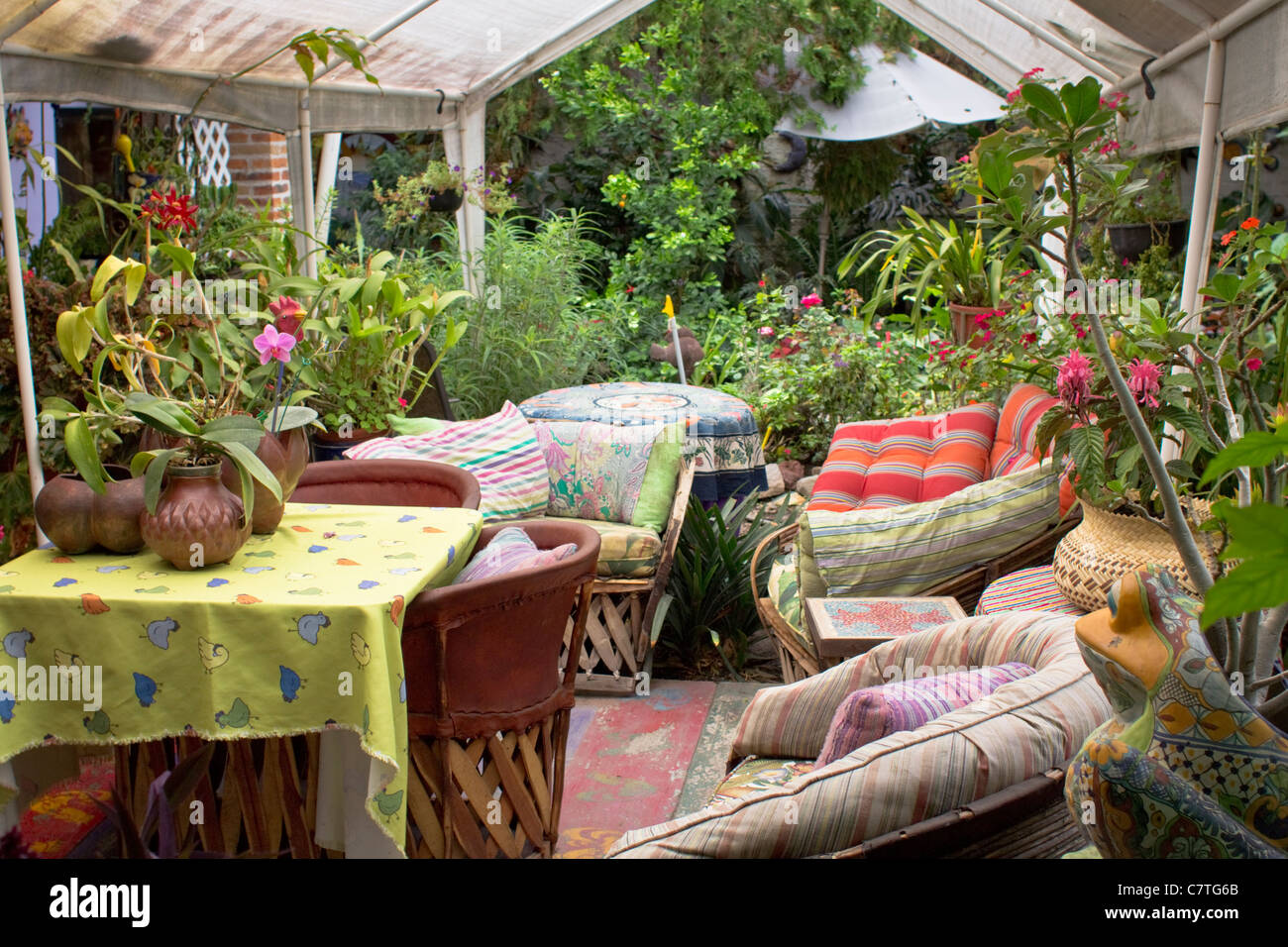 Topfpflanzen, Pflanzen, Garten, indoor-outdoor-Lifestyle, Ajijic, Chapala, Jalisco, Mexiko, Lateinamerika. Stockfoto