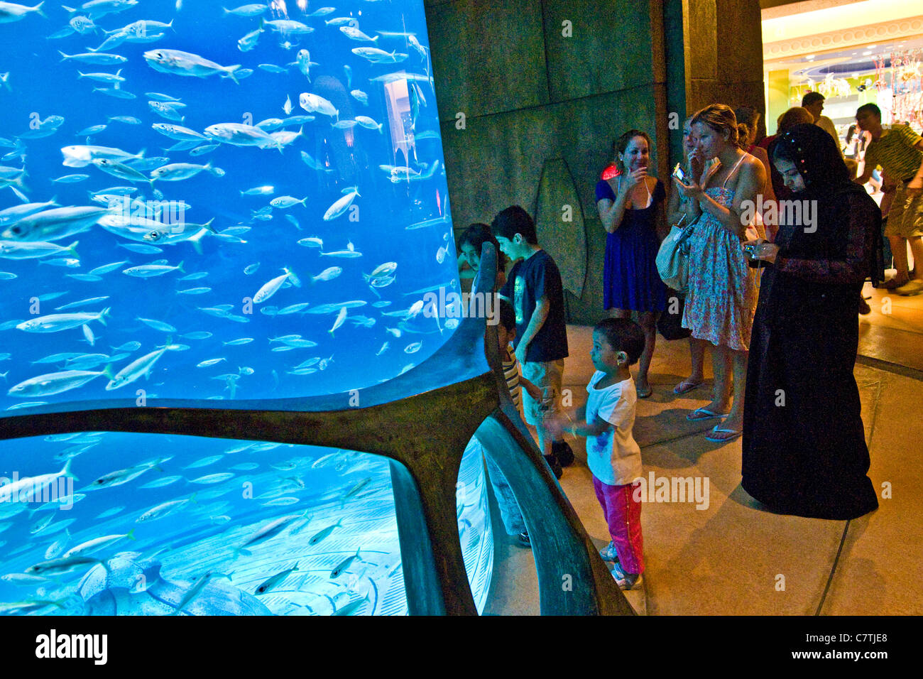 Dubai, Vereinigte Arabische Emirate, das Aquarium im Atlantis Palm Hotel Stockfoto