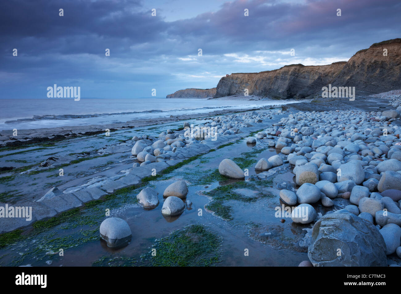 Felsvorsprüngen Kilve Strand an der Küste Somerset, England. Sommer (Juni) 2011. Stockfoto