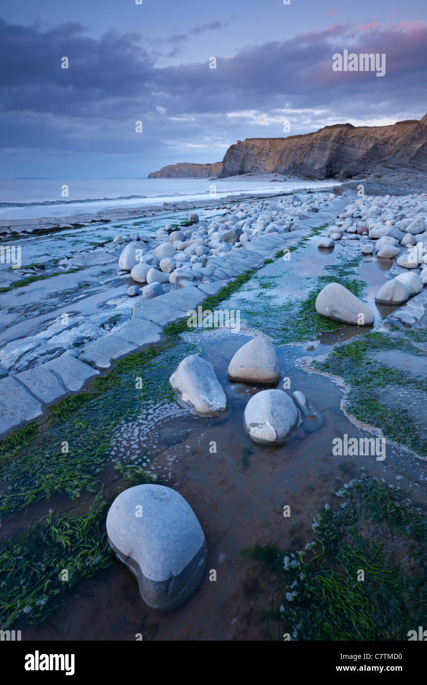 Fels-Pools am Kilve Strand, Somerset, England. Sommer (Juni) 2011. Stockfoto