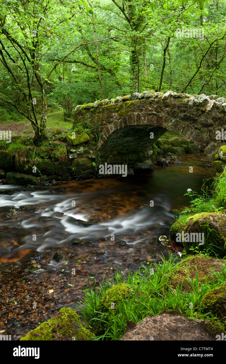 Alte Steinbrücke über den Fluss Bovey in Hisley Wood, Dartmoor, Devon, England. Sommer (Juli) 2011. Stockfoto
