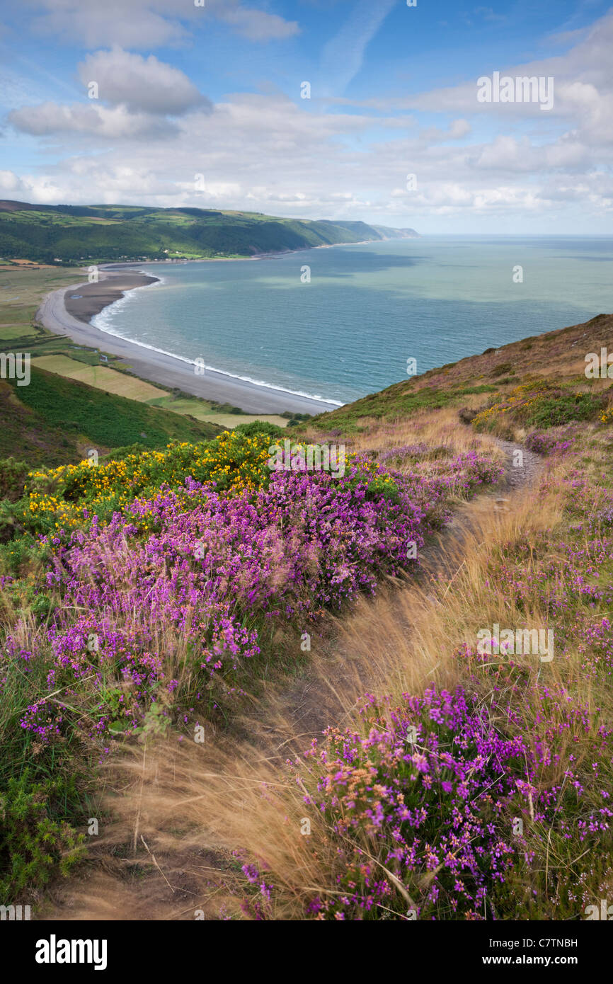 Küstenpfad auf Bossington Hügel oberhalb Porlock Bucht, Exmoor, Somerset. Sommer (August) 2011. Stockfoto