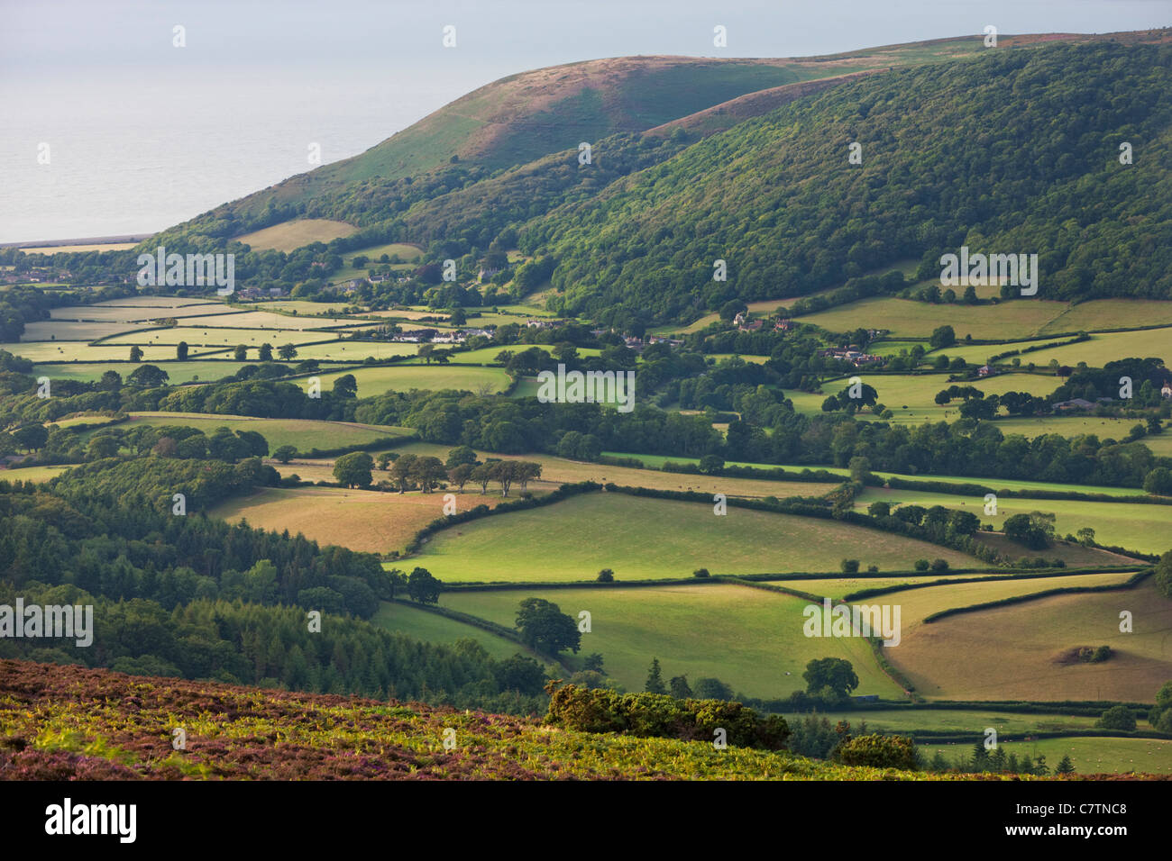 Sanfte Landschaft und Küste im Vale of Porlock, Exmoor, Somerset, England. Sommer (August) 2011. Stockfoto