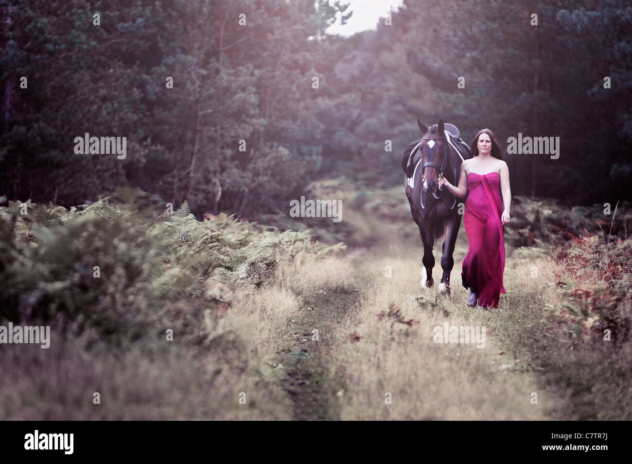 Schönes Foto von Frau in rosa Kleid mit Pferd in Waldlage Stockfoto