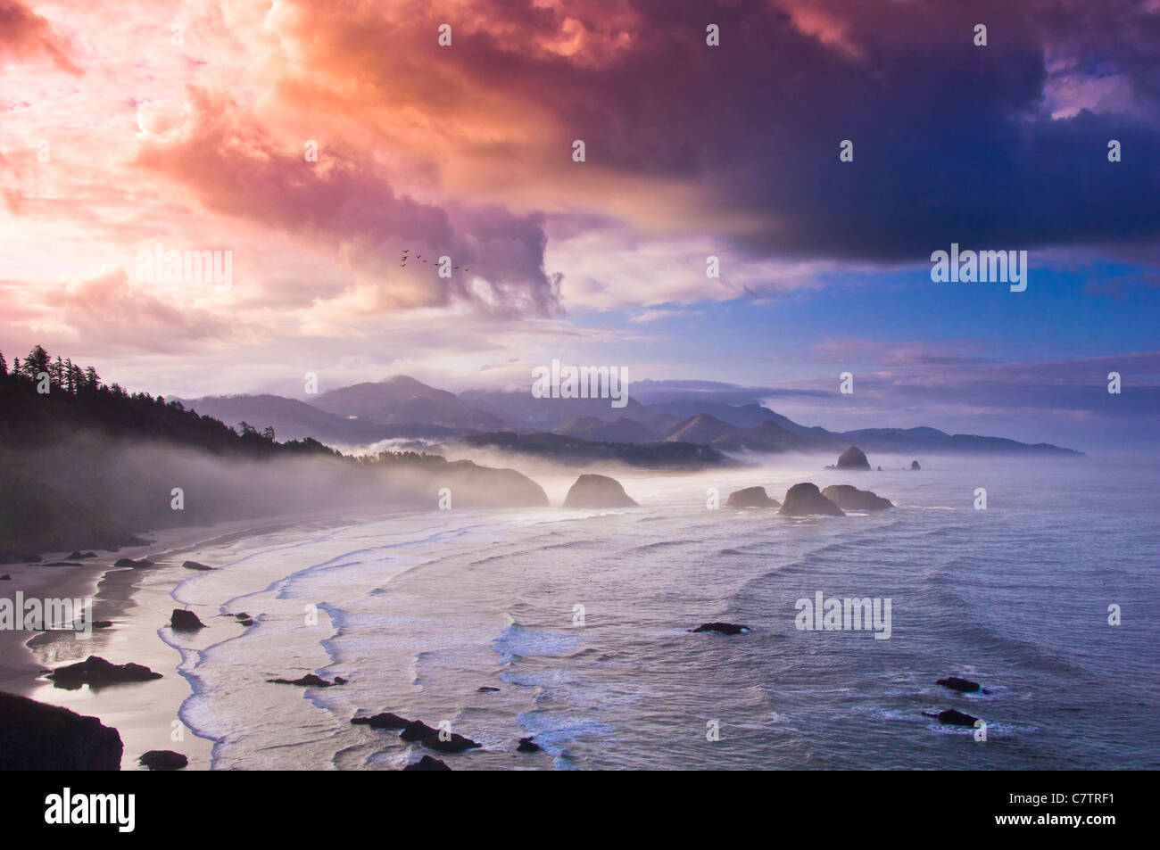 Ecola State Park hat sowohl eine Fülle an wunderschönen Stränden und ist reich an Geschichte. Oregon. USA amerikanische Westküste. Stockfoto