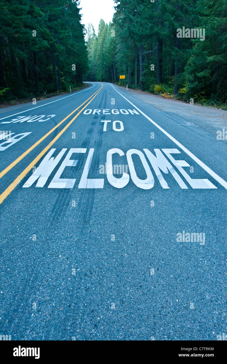 US-199 trägt der Redwood Highway von US 101 nördlich von Crescent City an der Interstate 5 in Grants Pass, Oregon. Stockfoto
