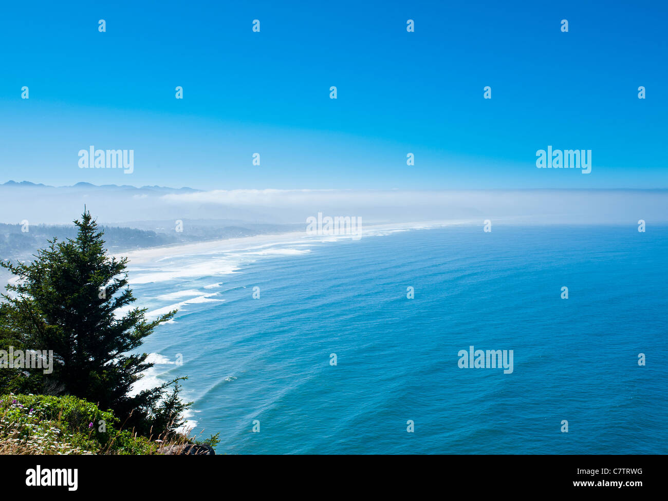 Eine tolle Aussicht am Pacific Highway 101 südlich von Tillamook, Oregon. Stockfoto