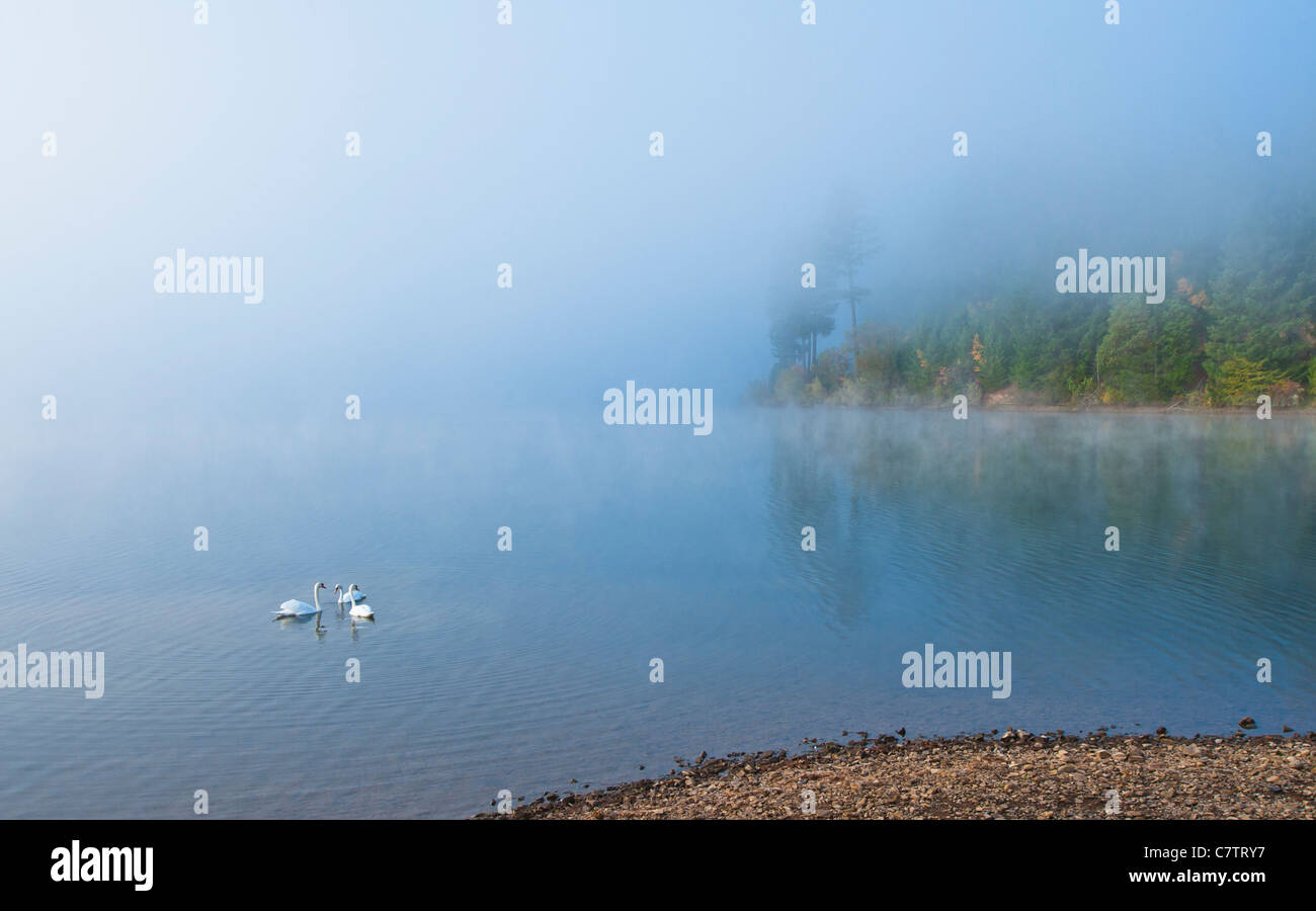 Selmac See befindet sich ca. 1/2 Stunde westlich von Grants Pass, Oregon. Highway 199. Stockfoto