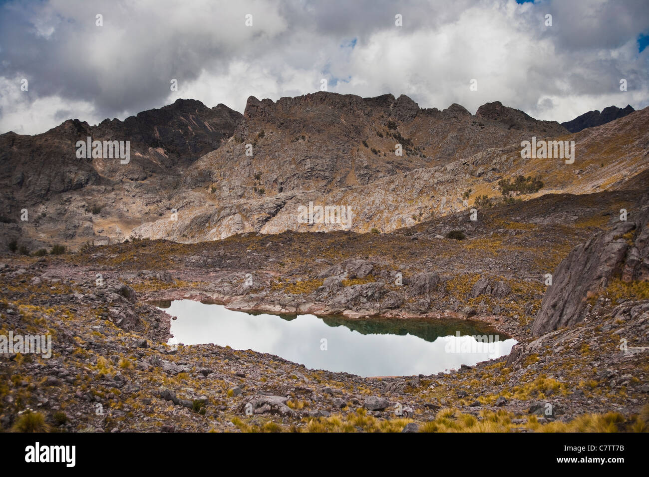 Landschaft aus den Lares Trek nach Machu Picchu Stockfoto