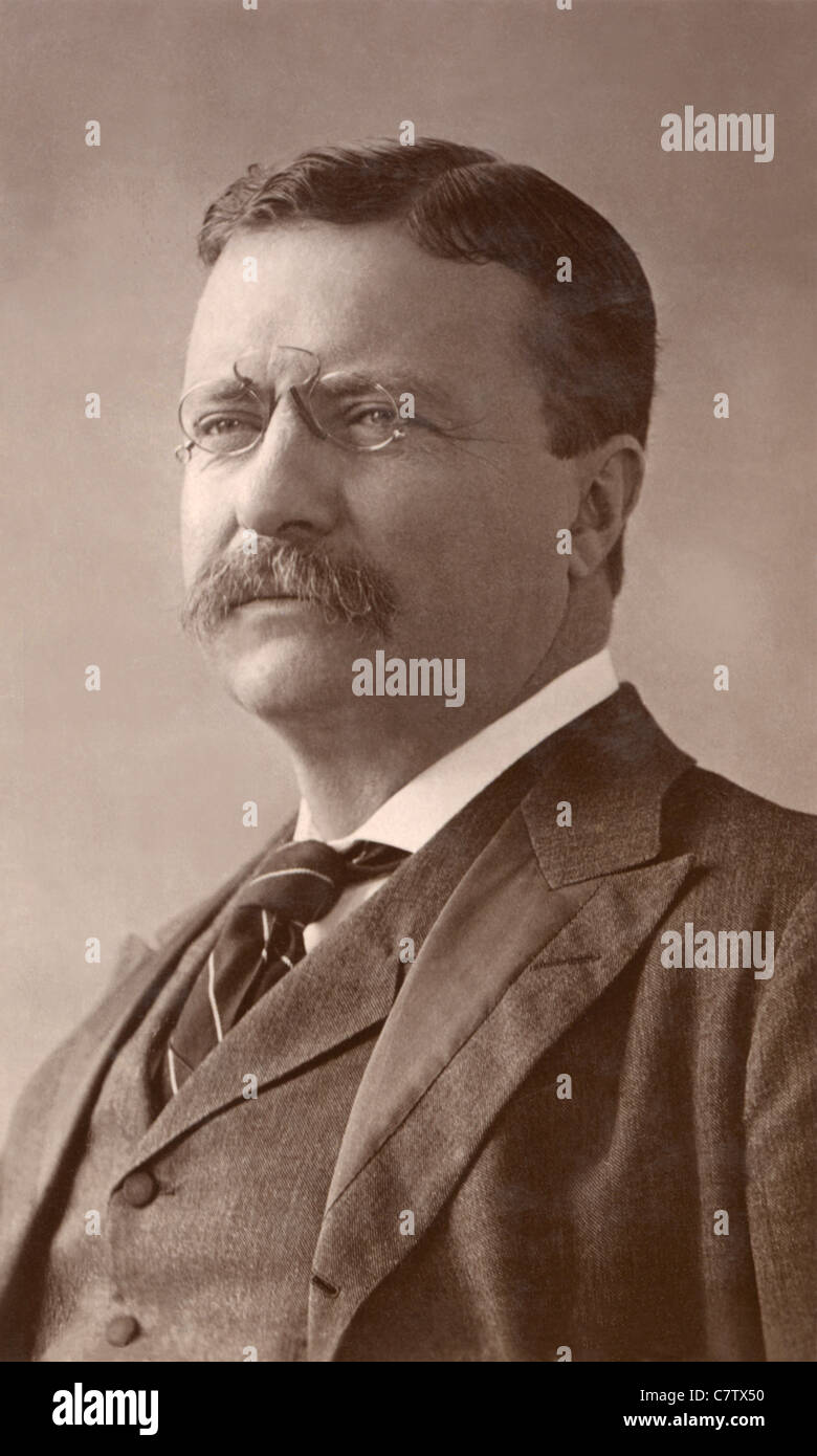 Theodore Roosevelt Stockfoto