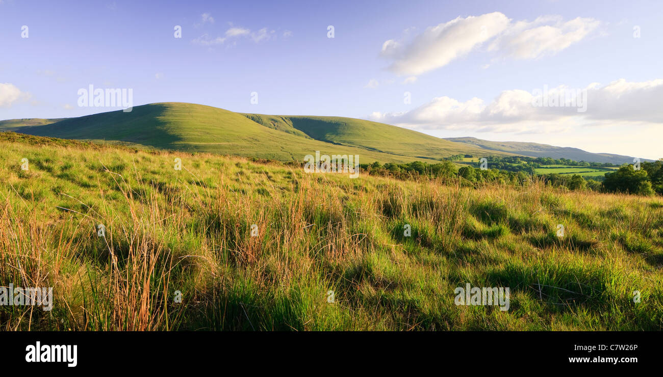 Ländliche Gegend Llanddeusant (Y Mynydd Du) Black Mountain Brecon Beacons National Park Carmarthenshire Wales Stockfoto