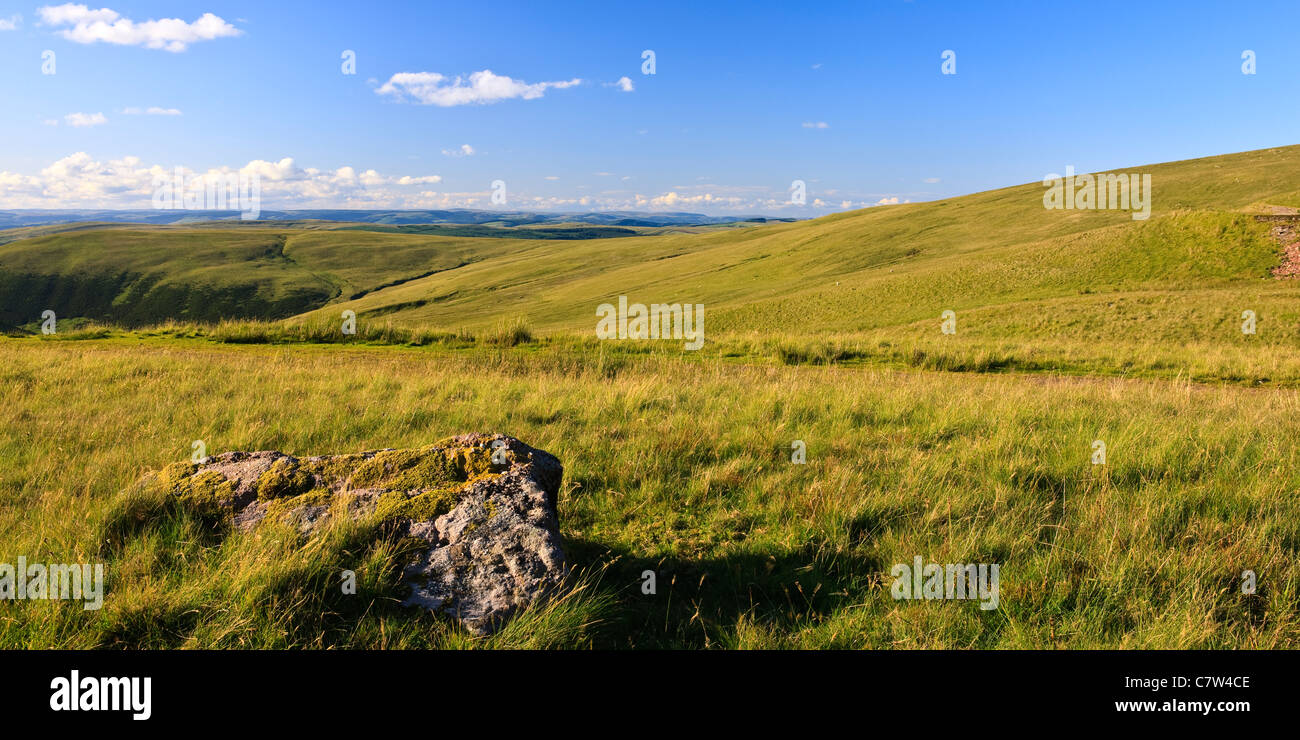 Heide Llanddeusant (Mynydd Y Du) Black Mountain Brecon Beacons National Park Carmarthenshire Wales Stockfoto