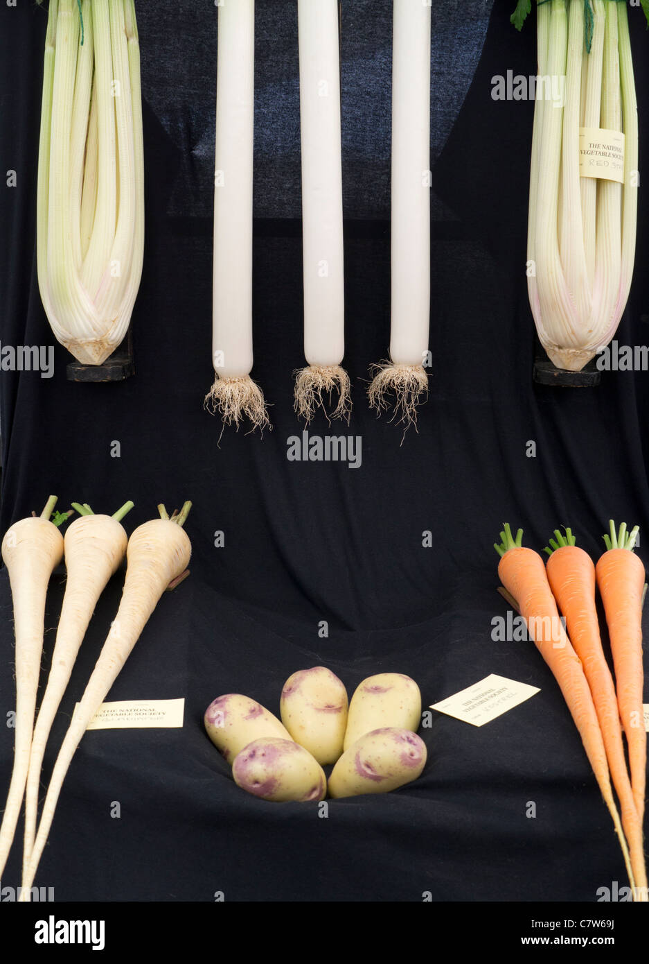 Malvern Herbst Show, England - National Gemüse Society display Stockfoto