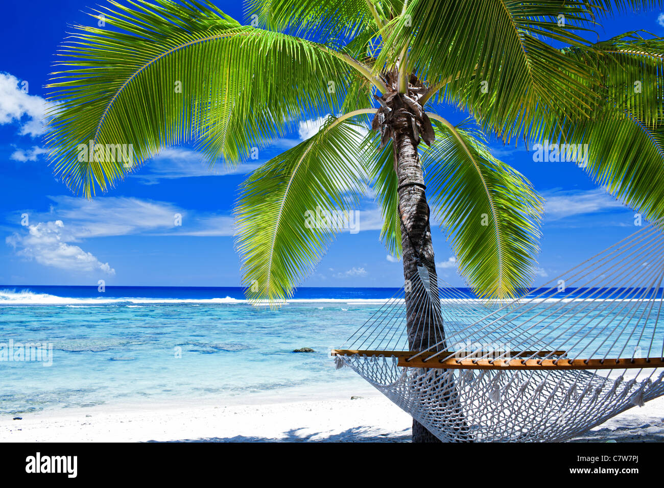 Leere Hängematte zwischen Palmen am tropischen Strand Stockfoto