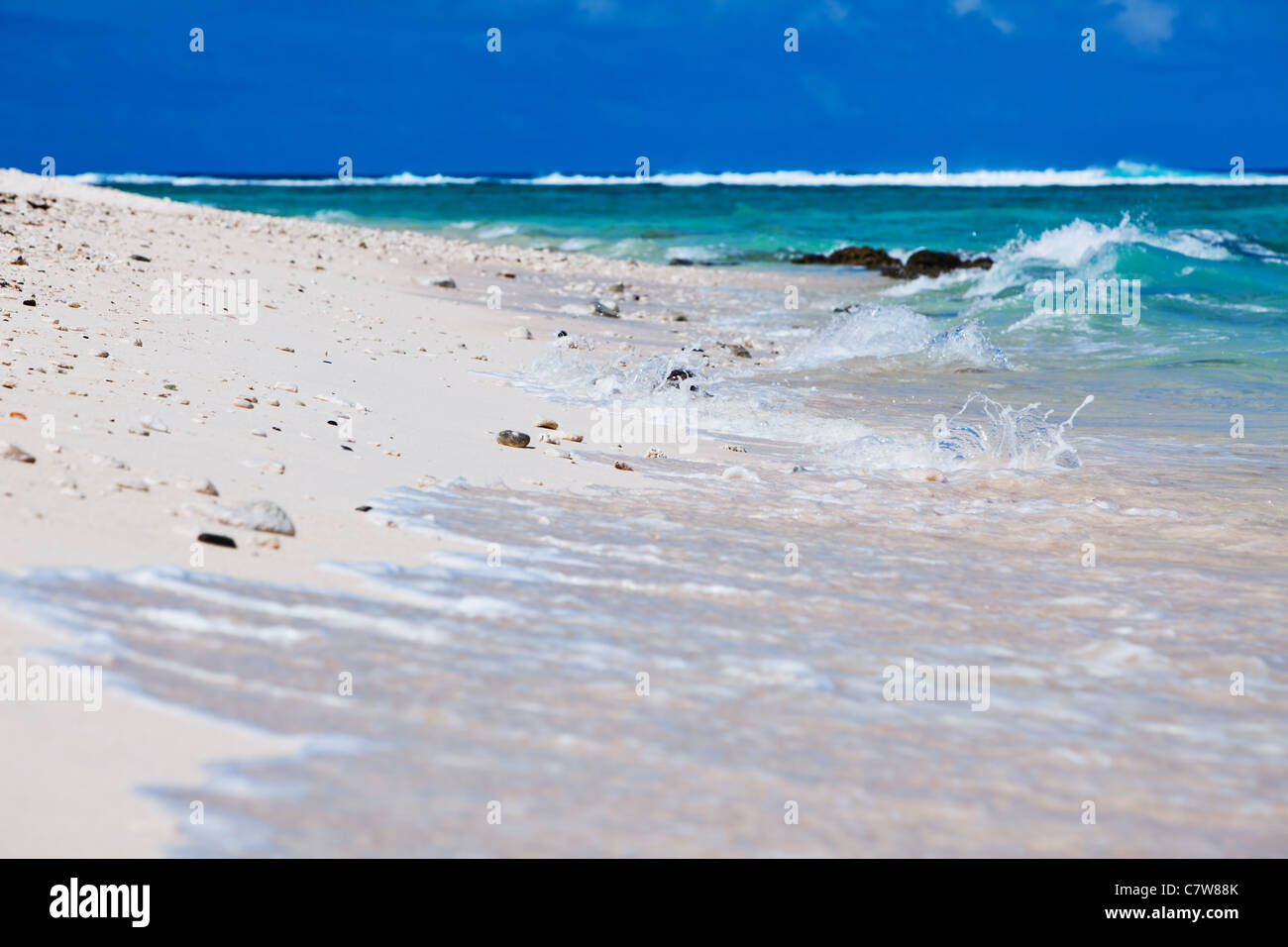 Details der Korallenstücke am tropischen Sandstrand Stockfoto