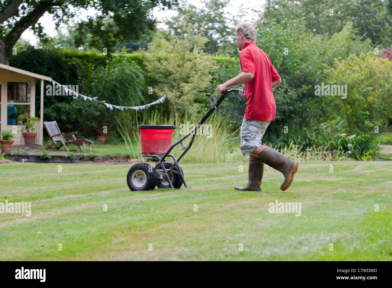 Rasen unkraut Fotos und Bildmaterial in hoher Auflösung Alamy
