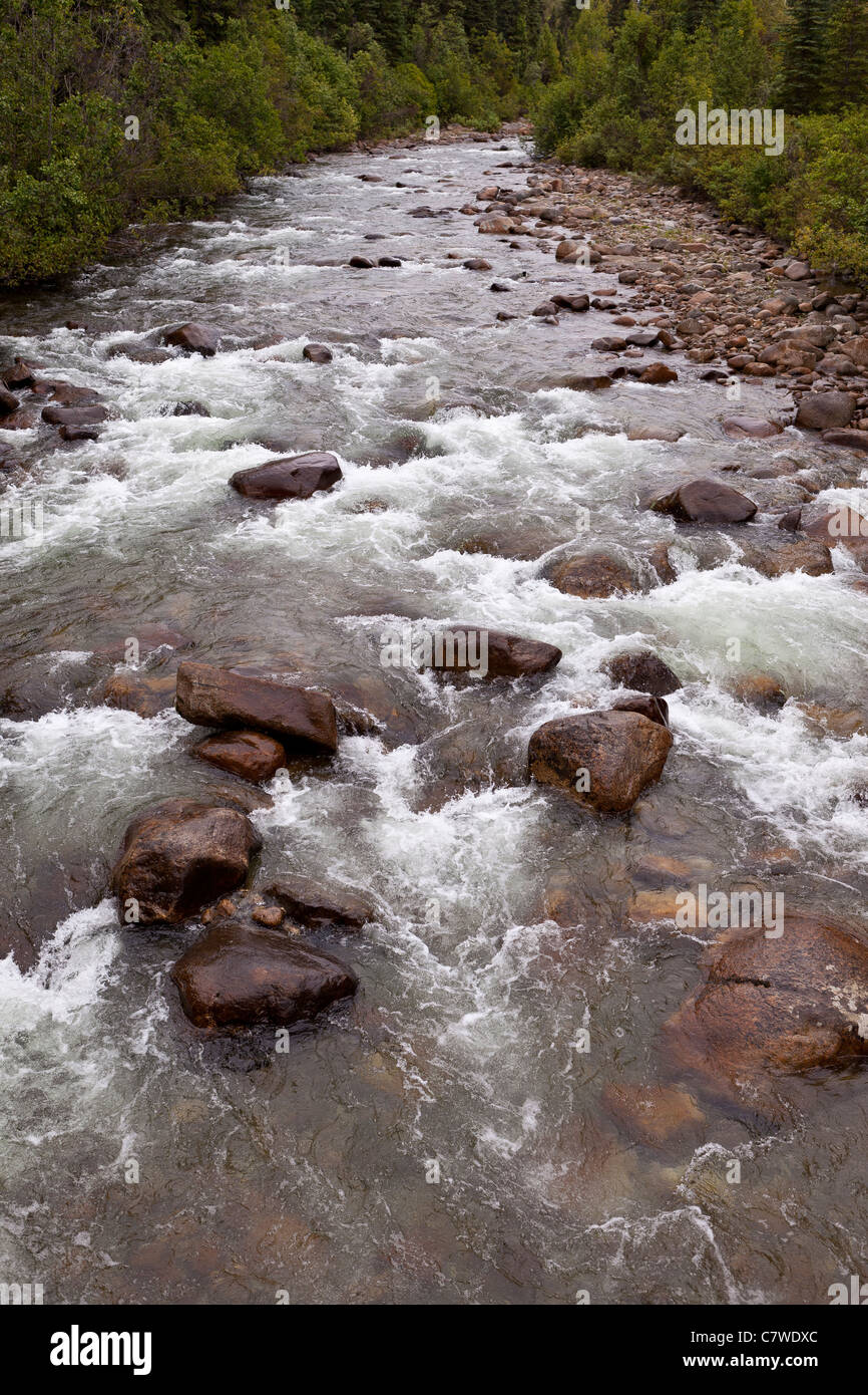 ALASKA, USA - Fluss Stockfoto