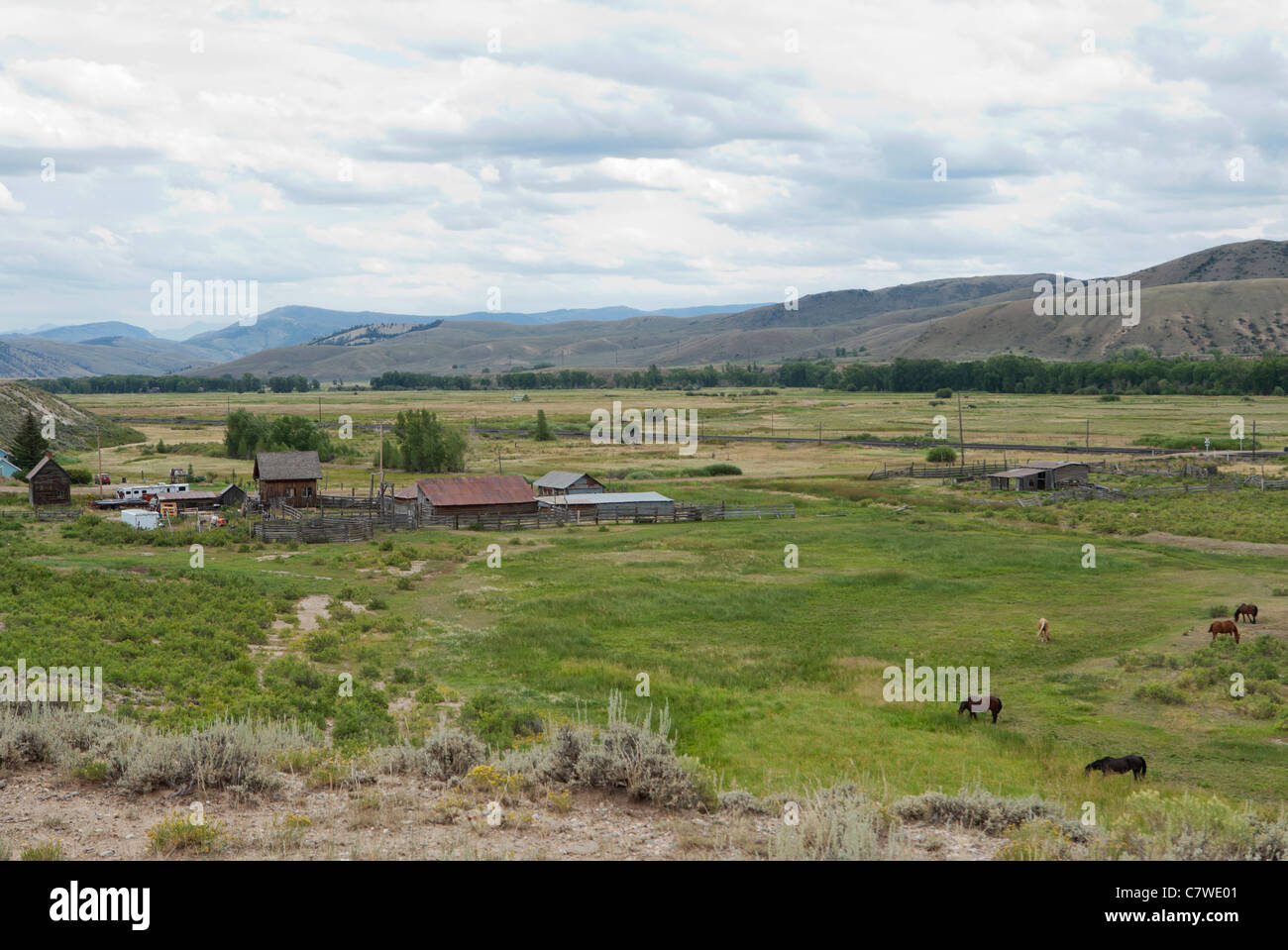Colorado Ranch Horse wild West Amerika amerikanische uns Stockfoto