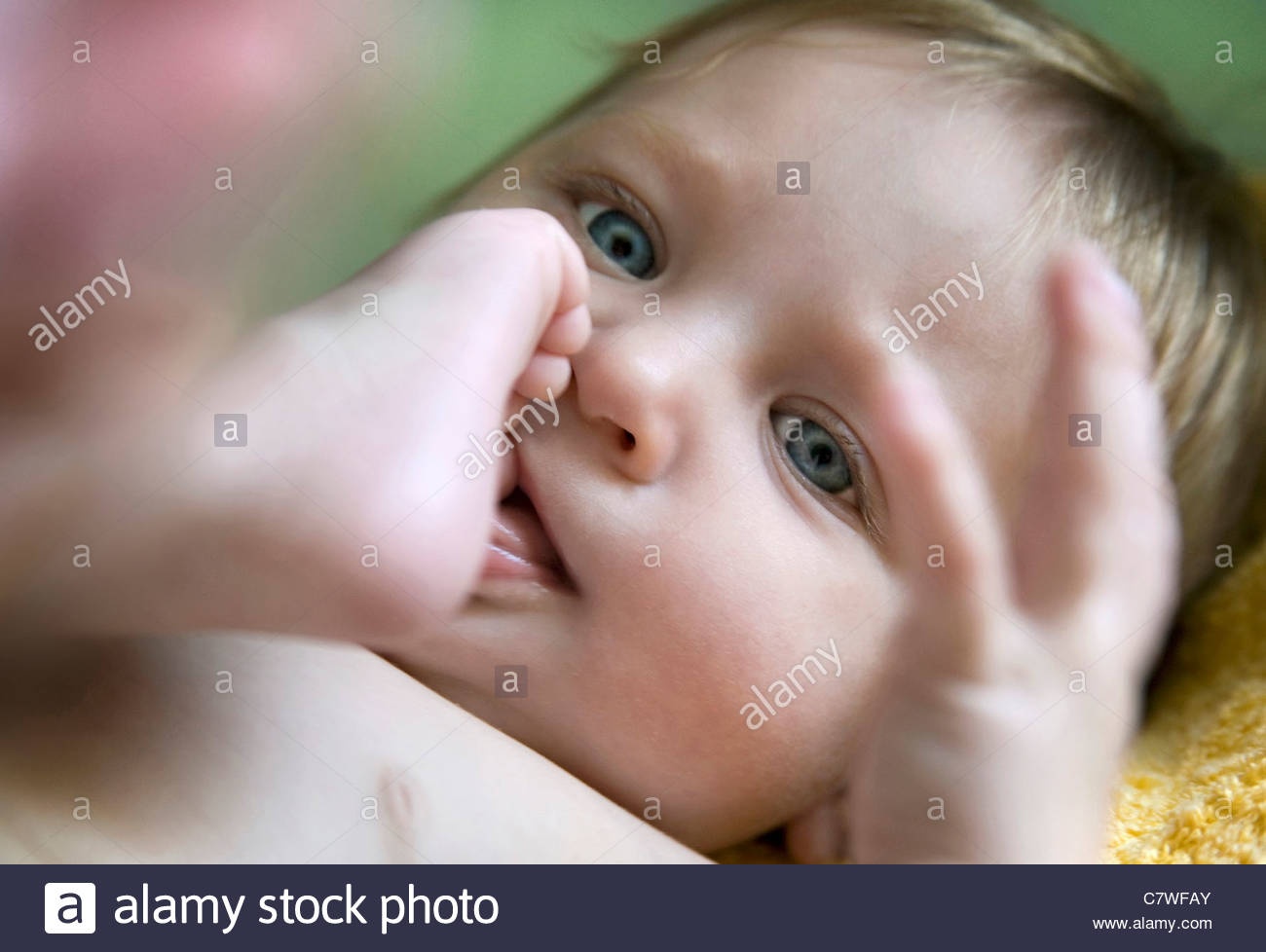 Beißen Ihren Fuß Stockfotos Beißen Ihren Fuß Bilder Alamy