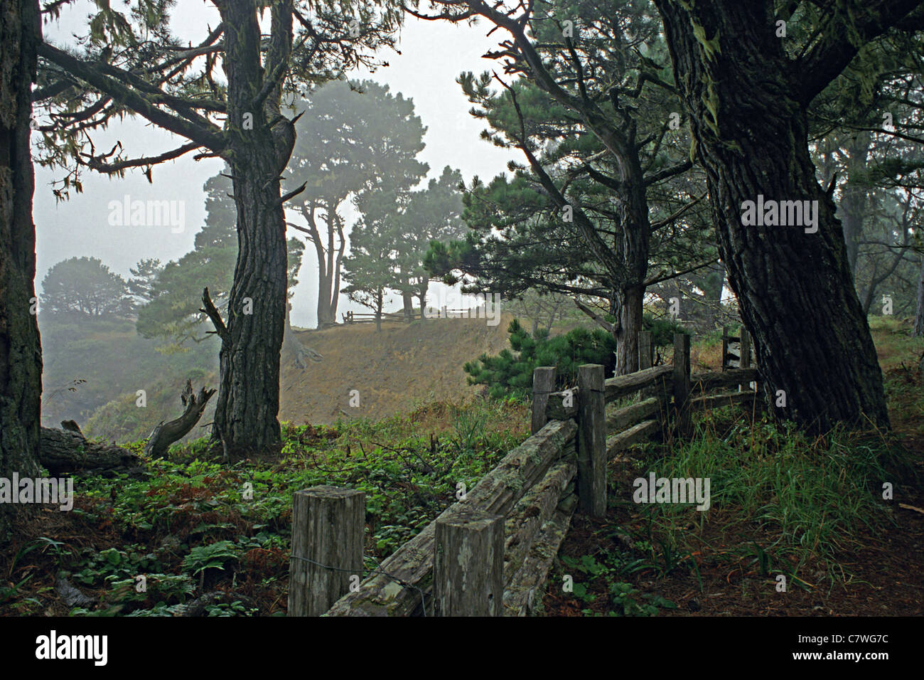 Russian Gulch State Park Landzungen, California Stockfoto