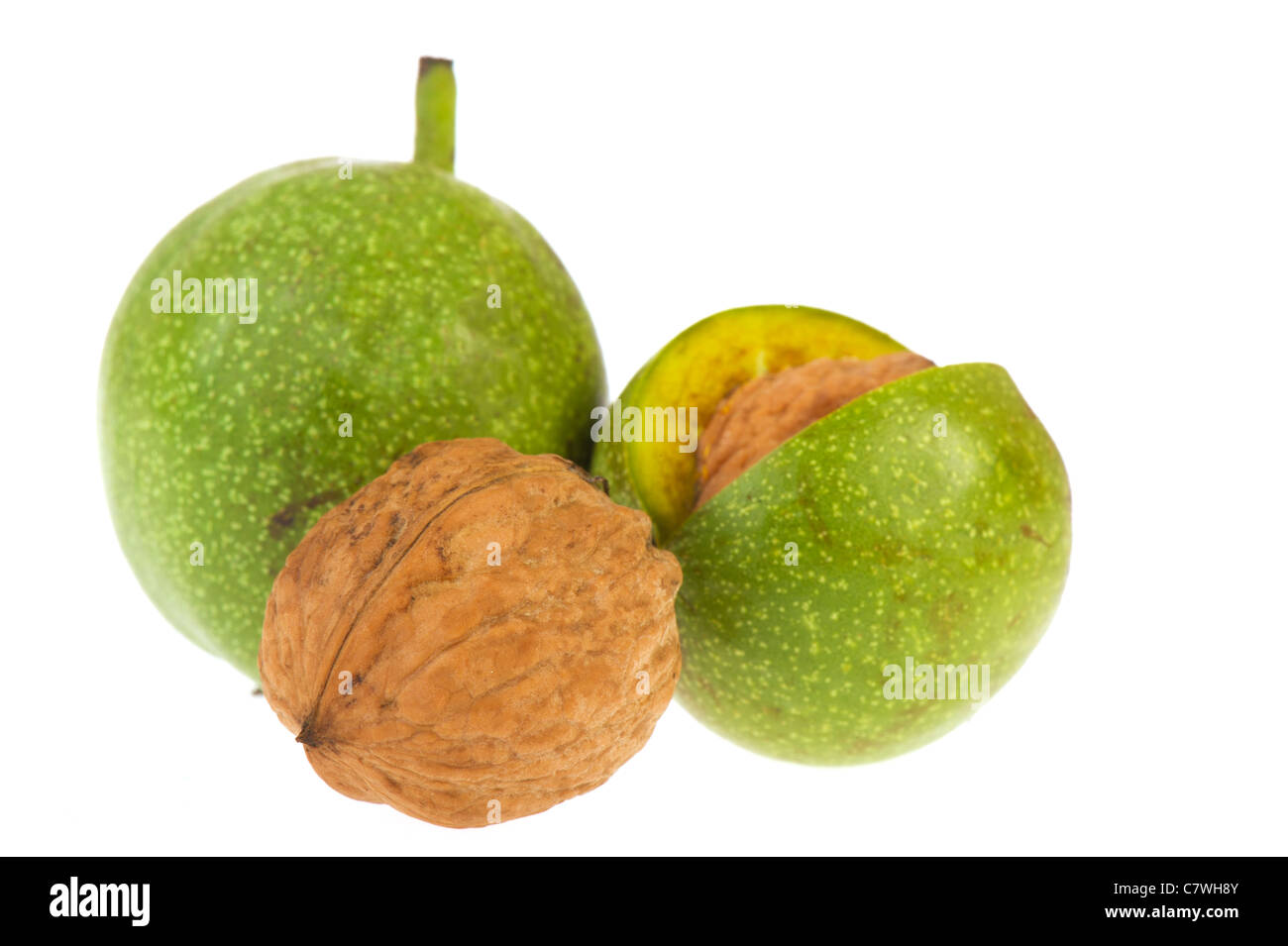 Reife Walnüsse in grüne Schale isoliert auf weißem Hintergrund Stockfoto