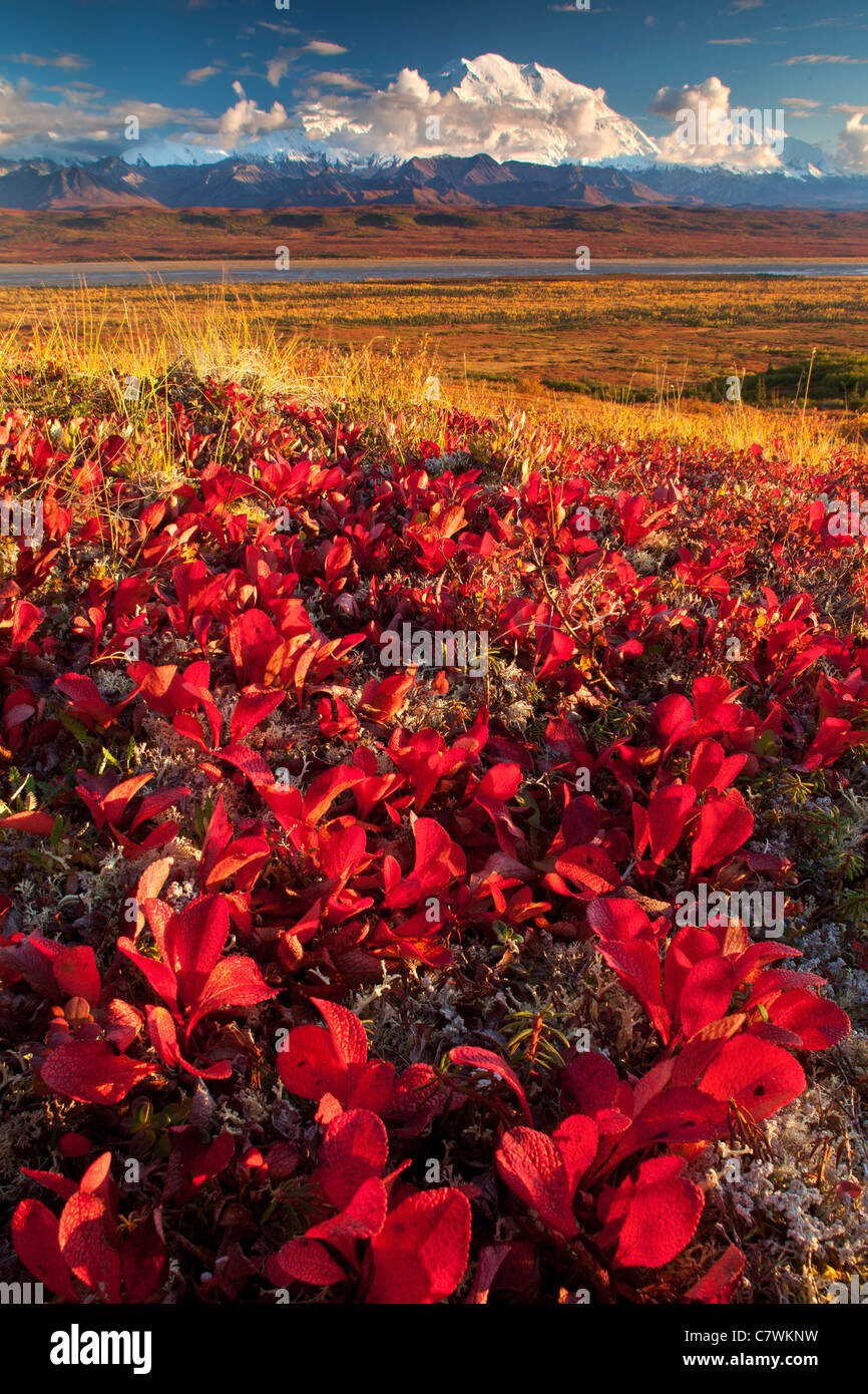 Mt. McKinley oder Denali Denali Nationalpark, Alaska. Stockfoto