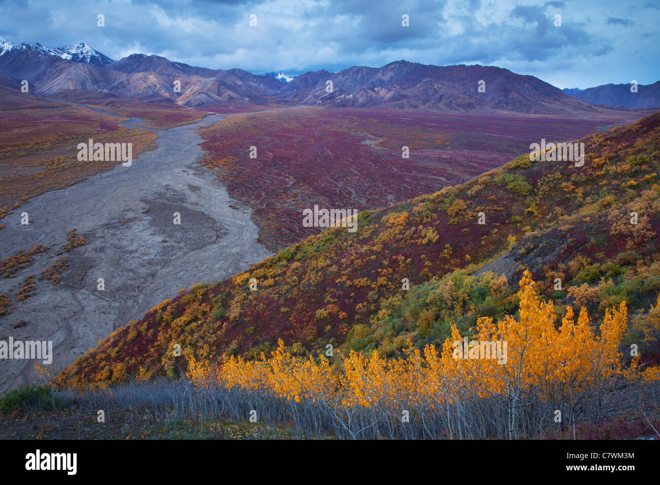Farben des Herbstes in Polychrome Pass, Denali-Nationalpark, Alaska. Stockfoto