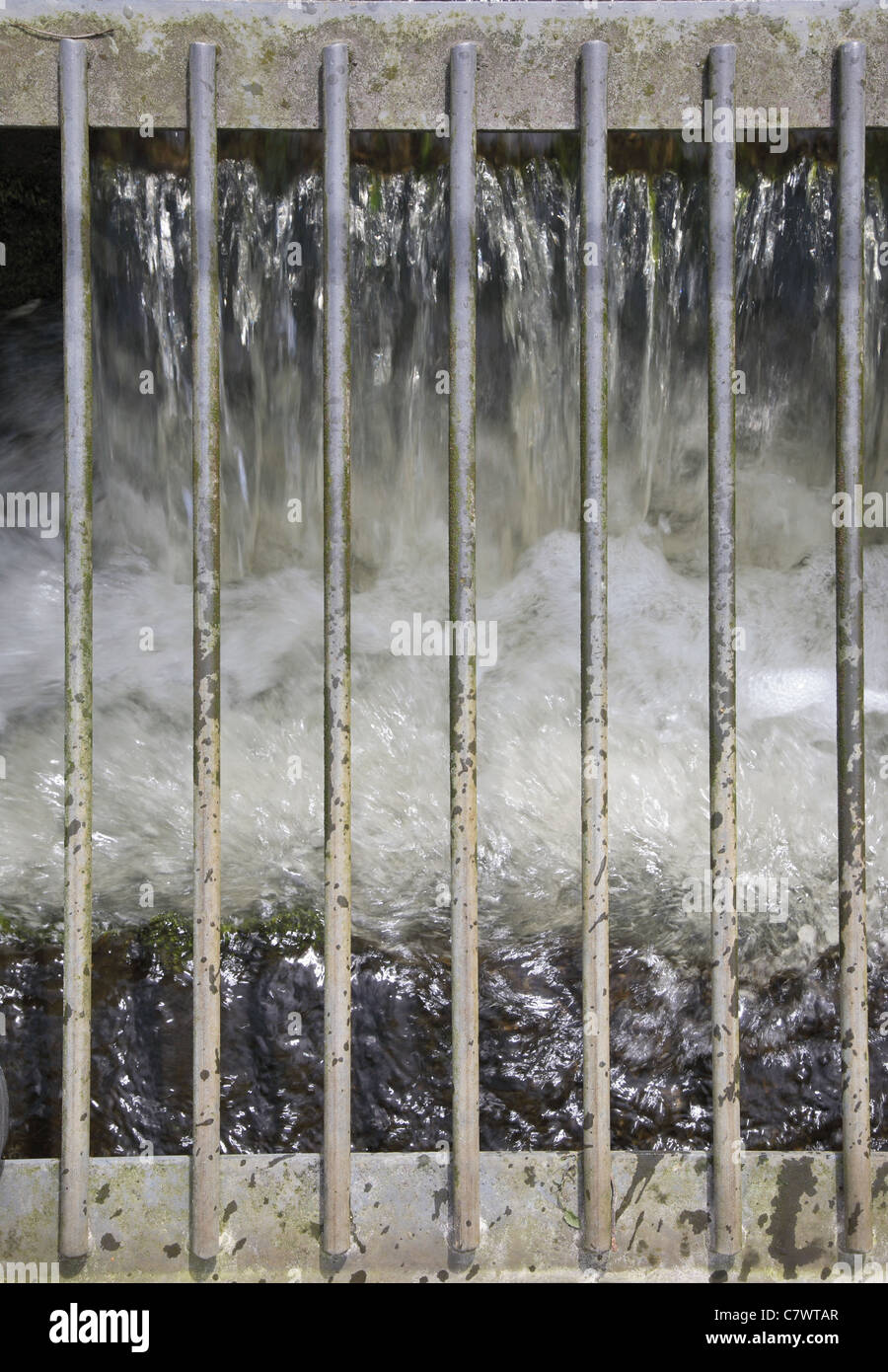 Wasser fällt hinter einem Gitter an ein Wehr an einem See. Stockfoto