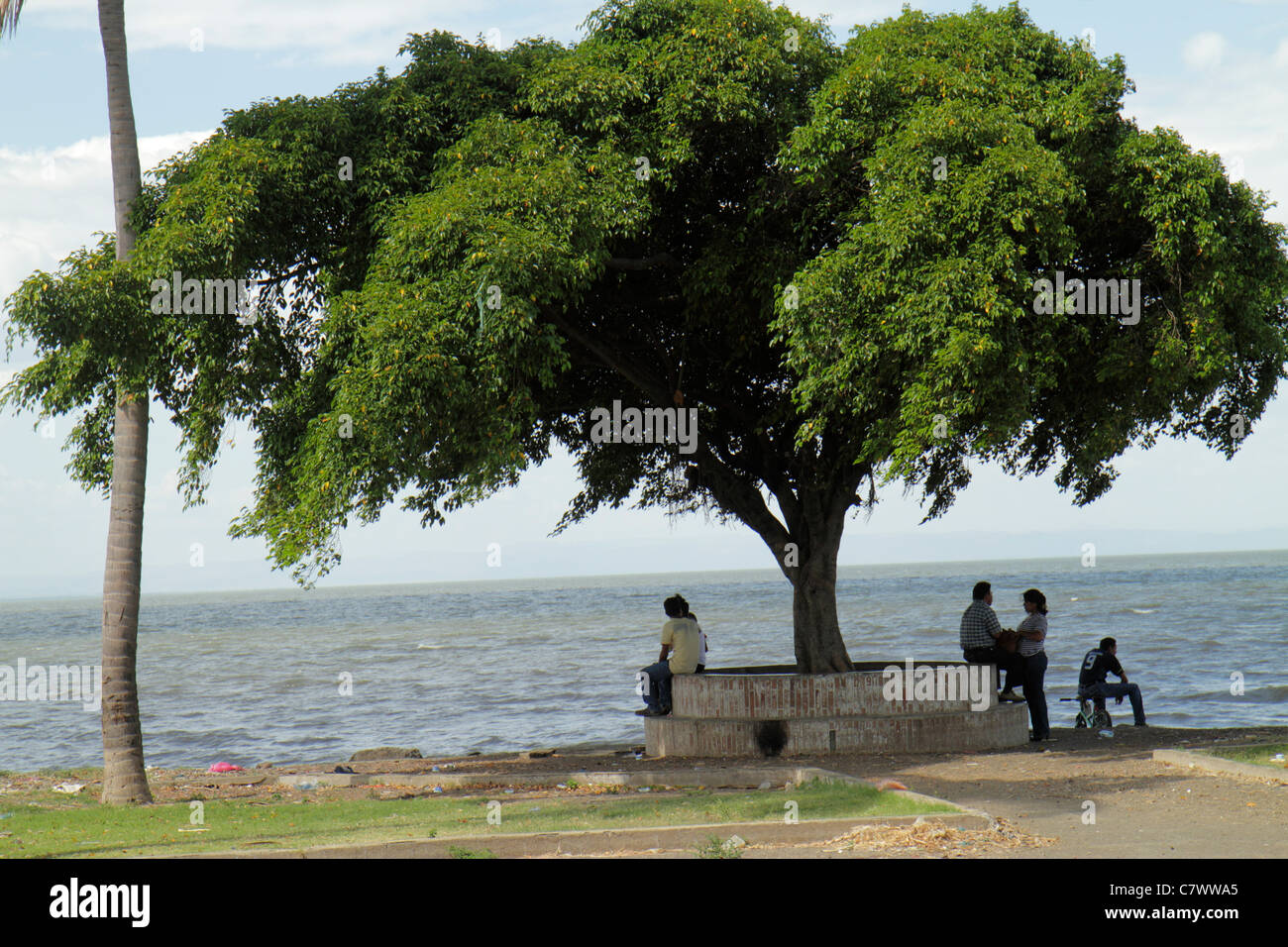 Managua Nicaragua, El Malecon, Lake Managua, Xolotlan, Waterfront, Erholungsgebiet, Baum, Baldachin, Schatten, Mann Männer Erwachsene Erwachsene, Frau Frauen, Paar, Stockfoto