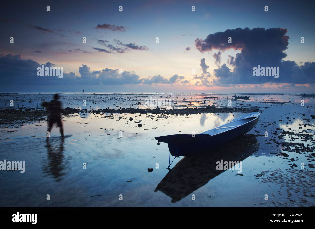 Frau sammeln Algen in der Morgendämmerung, Nusa Lembongan, Bali, Indonesien Stockfoto