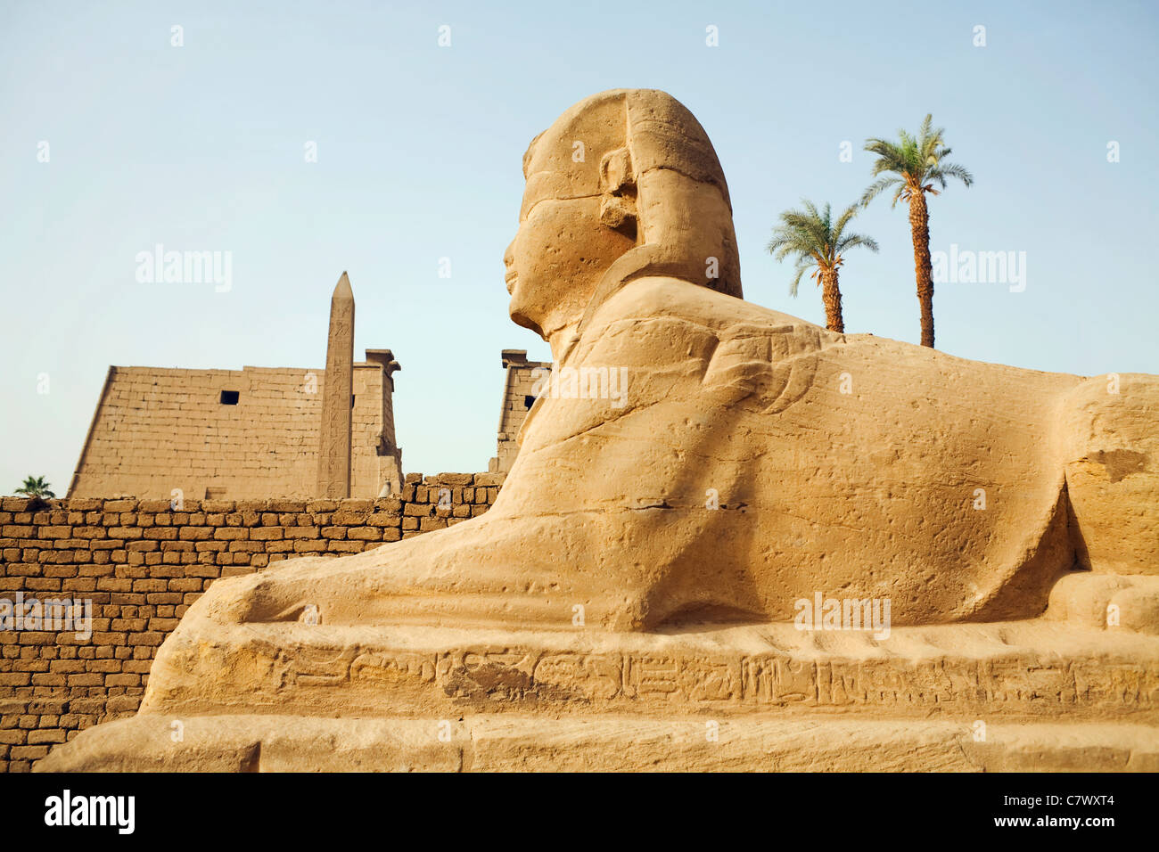 Allee der Sphinxen mit den ersten Pylon und Obelisk im Hintergrund im Luxor-Tempel, Luxor, Ägypten Stockfoto