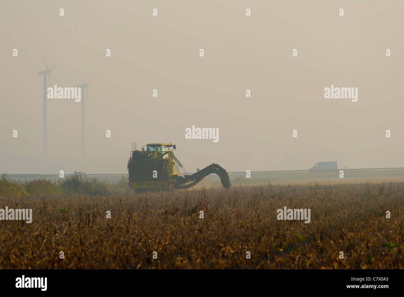 Selbstfahrende Erntemaschine im Feld für die Ernte von Kartoffeln. Stockfoto
