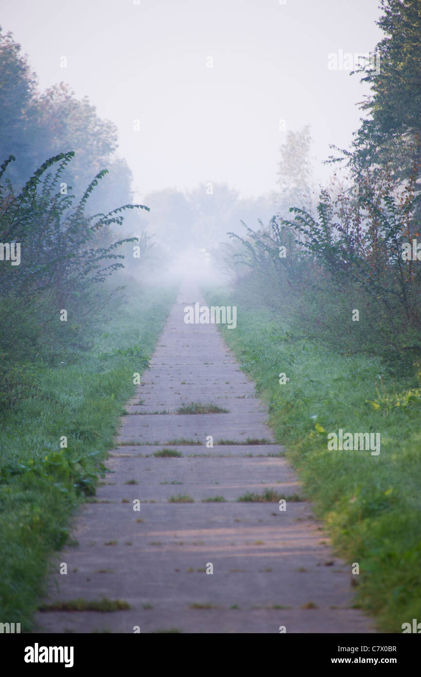 Schmale Walking Gasse im Nebel Stockfoto