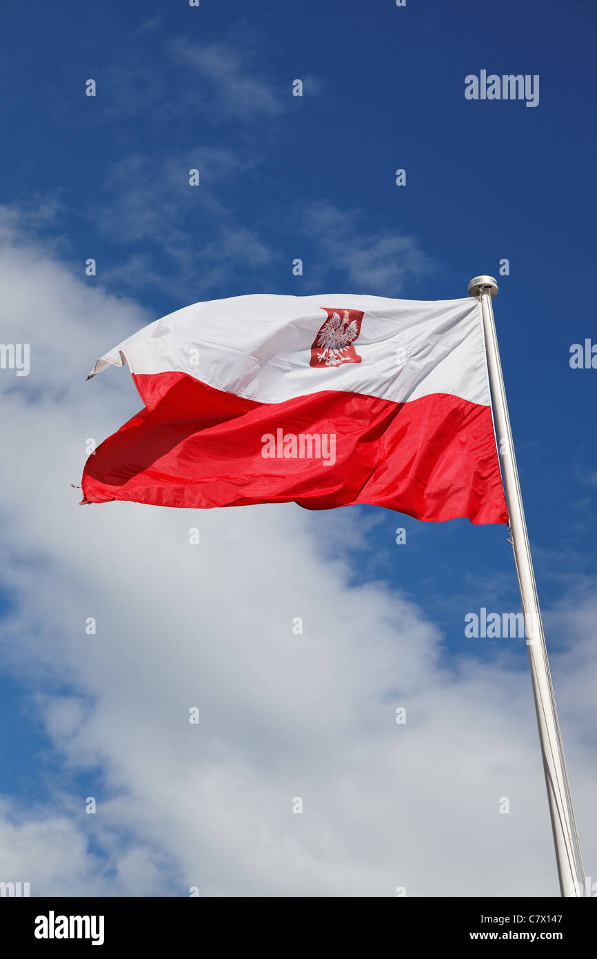 Polnische nationale Flagge in den Himmel. Stockfoto