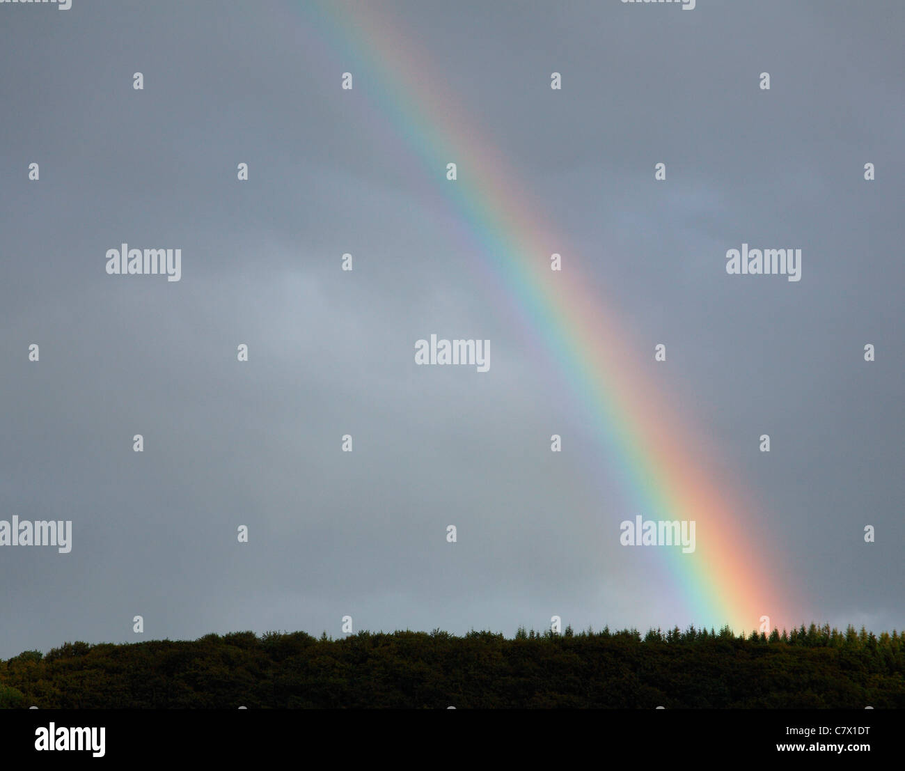 Regenbogen Stockfoto