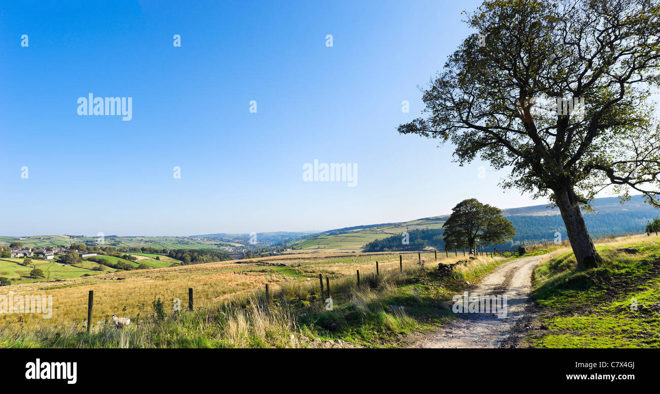Blick über Holmfirth und die Holme Tal von Holme, West Yorkshire, England, Vereinigtes Königreich Stockfoto