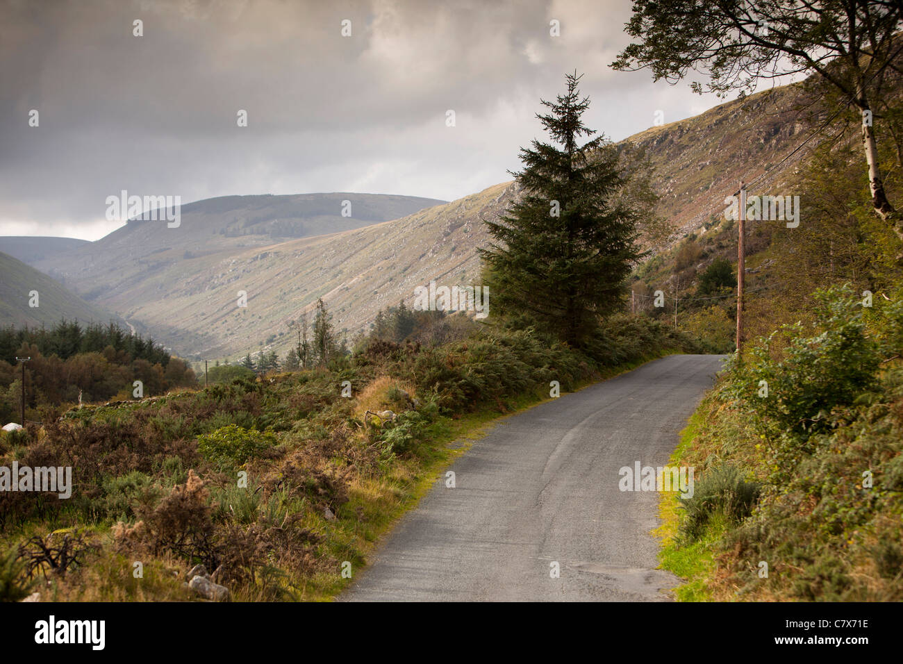 Irland, Co. Wicklow, Glenmalure, Straße ins Tal Stockfoto