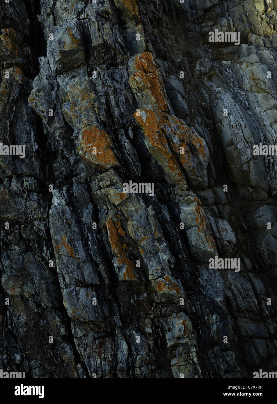 gefaltete Quarzit in der Nähe von Bermagui, New South Wales Australien Stockfoto