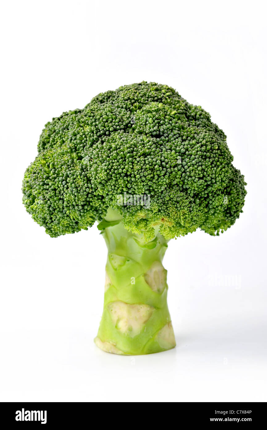 Reife Broccoli-Kohl, Isolated on White Background Stockfoto