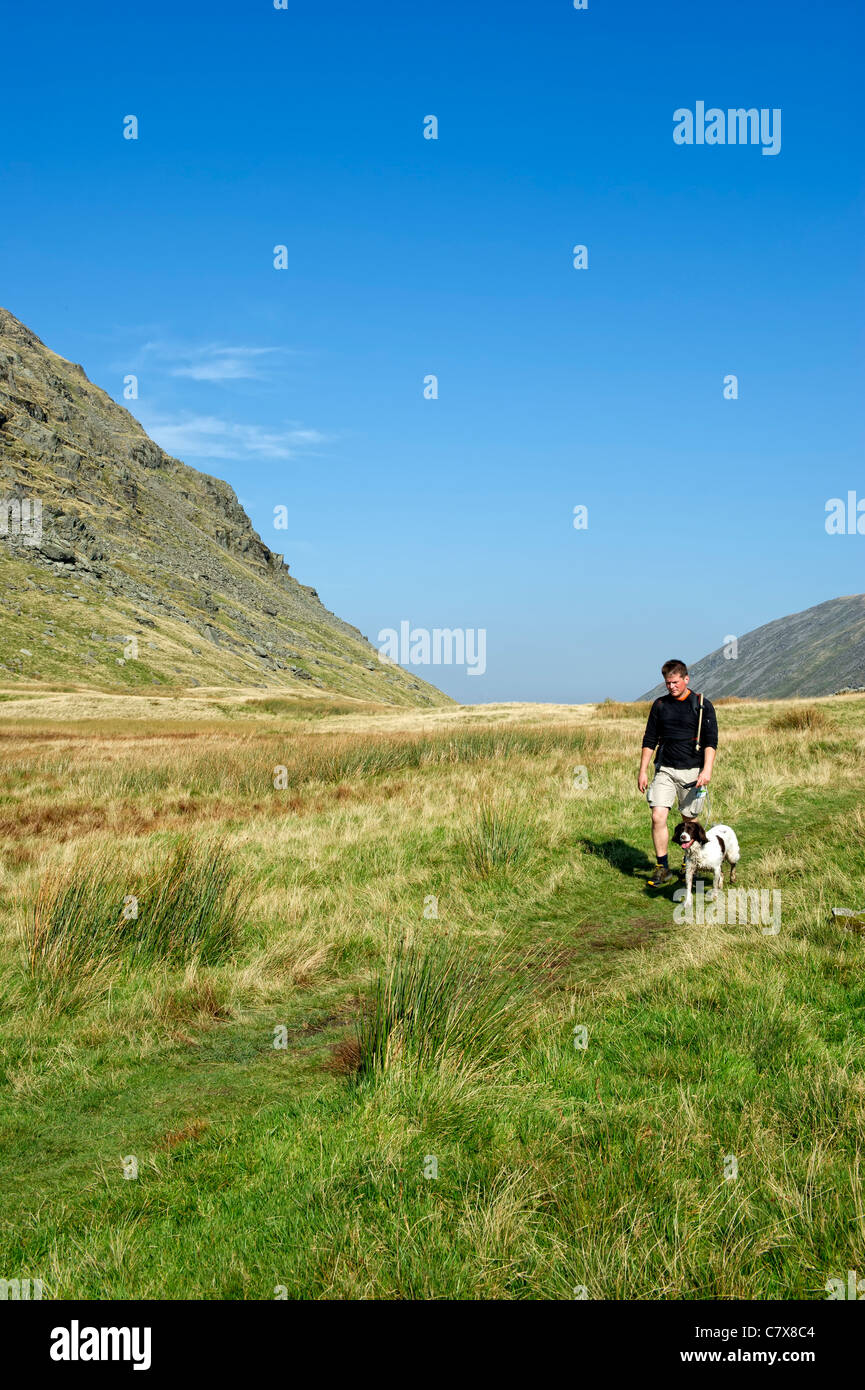 Ein Mann geht seinen Spaniel Hund in den Kirkstone Pass in der Nähe von Ullswater im Lake District, Cumbria, England Stockfoto