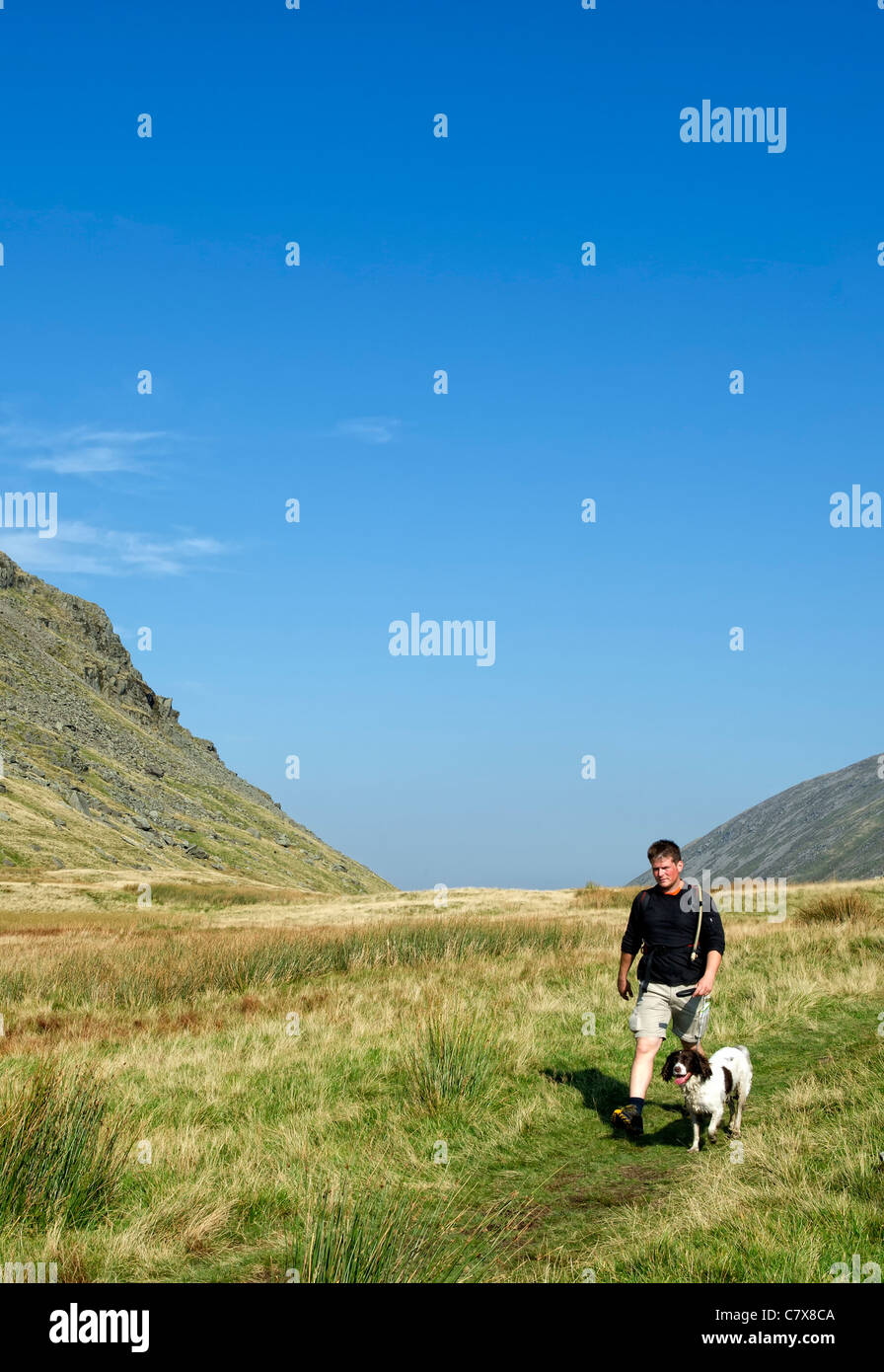 Ein Mann geht seinen Spaniel Hund in den Kirkstone Pass in der Nähe von Ullswater im Lake District, Cumbria, England Stockfoto