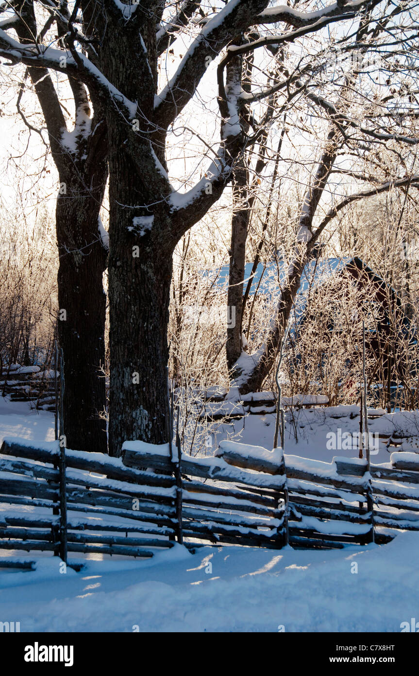 Holzzaun in Schnee in Norrtälje in Mittelschweden Stockfoto